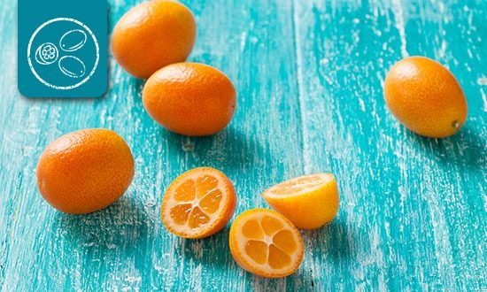 Discovered kumquats
